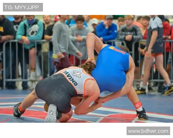 自由式摔跤积分排行解析及各国选手表现综述